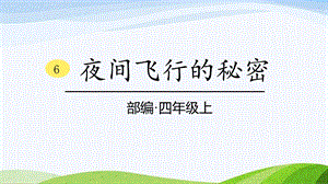 2024-2025部編版語文四年級上冊6夜間飛行的秘密課時課件.pptx