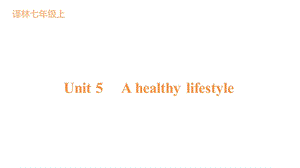 24新譯林版七年級上英語Unit5單元梳理課件.pptx