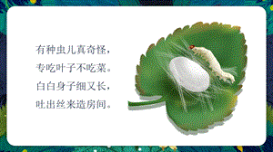 24新人教版一年級上藝術造型美術第2單元第2課-勤勞的蠶寶寶 課件.pptx