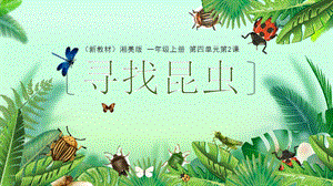 湘美版（2024）一年級上冊藝術(shù)造型美術(shù)4.2.尋找昆蟲 課件.pptx