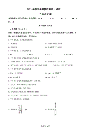 廣東省廣州市海珠區2022-2023學年九年級上學期期末化學試題.docx