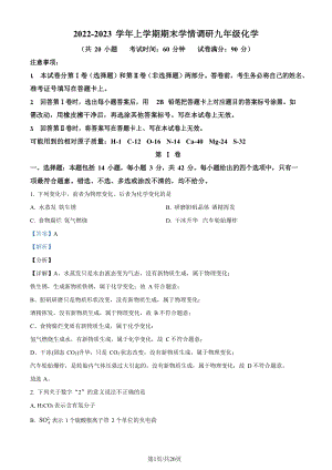廣東省廣州市華師附中2022-2023學年九年級上學期期末化學試題（答案）.docx