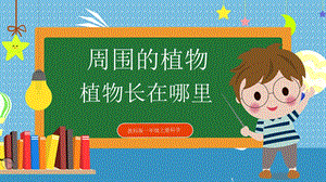 教科版小學(xué)科學(xué)一年級(jí)上冊(cè)3.植物長(zhǎng)在哪里 課件.pptx