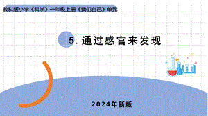 24新教科版一年級(jí)上冊(cè)科學(xué)2.5《通過(guò)感官來(lái)發(fā)現(xiàn)》課件(共10張PPT).pptx