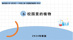 24新教科版一年級上冊科學1.6《校園里的植物》課件(共10張PPT).pptx