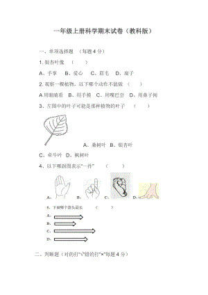 24新教科版小學(xué)科學(xué)一年級(jí)上冊(cè)期末試卷含答案.doc