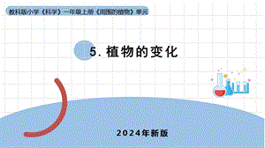 24新教科版一年級上冊科學1.5 《植物的變化》課件(共6張PPT).pptx