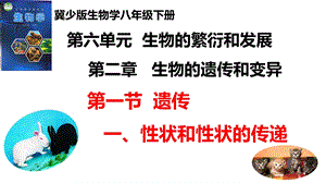 25新冀少版八年級下冊生物6.2.1遺傳（一、性狀和性狀的傳遞）課件.pptx