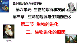 25新冀少版八年級下冊生物6.3.2.2 生物的進化（二、生物進化的原因） 課件.pptx