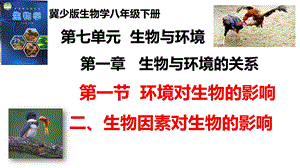 25新冀少版八年級下冊生物7.1.1.2環境對生物的影響（二、生物因素對生物的影響）課件.pptx