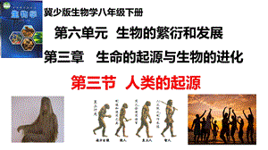 25新冀少版八年級下冊生物6.3.3人類的起源課件.pptx