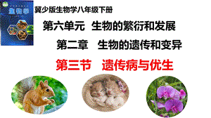 25新冀少版八年級下冊生物6.2.3遺傳病與優生課件.pptx