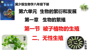 25新冀少版八年級下冊生物6.1.1.2被子植物的生殖（二、無性生殖）課件.pptx