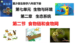 25新冀少版八年級下冊生物7.2.2 食物鏈和食物網 課件.pptx