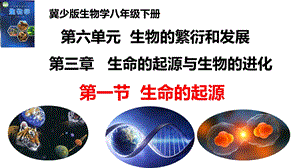 25新冀少版八年級下冊生物6.3.1生命的起源課件.pptx