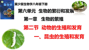 25新冀少版八年級下冊生物6.1.2.1動物的生殖和發育（一、昆蟲的生殖和發育）課件.pptx