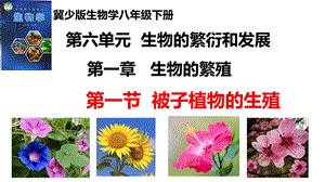 25新冀少版八年級下冊生物6.1.1.1被子植物的生殖（一、有性生殖）課件.pptx