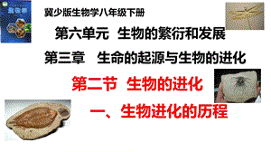 25新冀少版八年級下冊生物6.3.2.1生物的進化（一、生物進化的歷程）課件.pptx