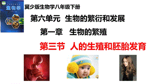 25新冀少版八年級下冊生物6.1.3人的生殖和胚胎發育課件.pptx