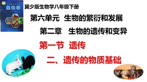 25新冀少版八年級下冊生物6.2.1.2遺傳（二、遺傳的物質基礎）課件.pptx