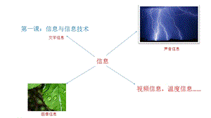 蘇科版三年級3.1信息與信息技術教學課件.ppt