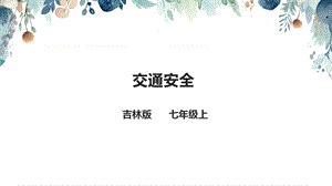 吉林版七年級上冊《家鄉》第13課《交通安全》課件.pptx