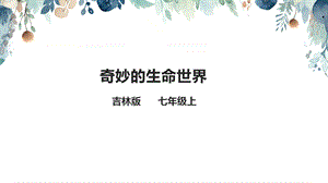 吉林版七年級上冊《家鄉》第1課《奇妙的生命世界》課件.pptx