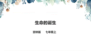 吉林版七年級上冊《家鄉》第11課《生命的誕生》課件.pptx
