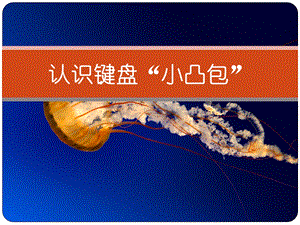 西師大版三下信息技術課件-單元4 活動2 兩個“小凸包” (共11張PPT).ppt