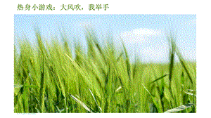 湘教版一年級上心理健康教育4我舉手了課件.pptx
