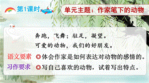 2023-2024部編版語文四年級下冊13貓（課件）.ppt