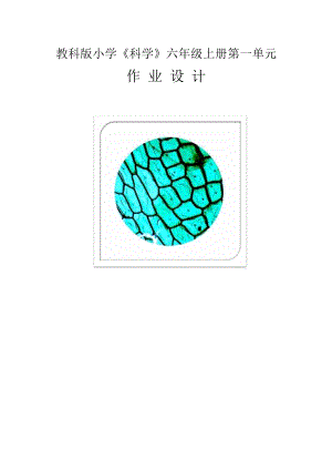 教科版六年級上冊科學(xué)第1單元：微小世界 單元作業(yè)設(shè)計.docx