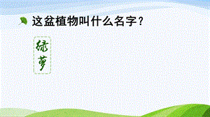 2023-2024部編版語文三年級下冊習作：我的植物朋友（課件）.ppt