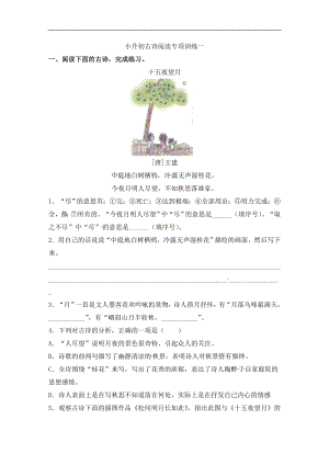 小升初古詩閱讀專題訓練合集（含答案）.doc