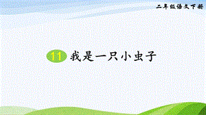 2023-2024部編版語文二年級下冊11我是一只小蟲子（課件）.ppt