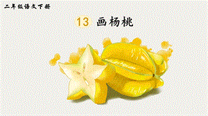 2023-2024部編版語文二年級下冊13畫楊桃（生字講解）.ppt
