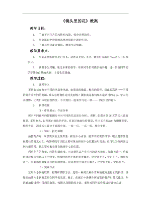 人美版六年級上冊美術(shù)鏡頭里的花教案.doc