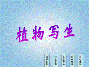 人美版四年級下冊美術(shù)第1課 植物寫生 課件(1).ppt