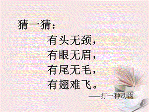人美版四年級下冊美術(shù)第9課 用彩墨畫魚 課件.ppt