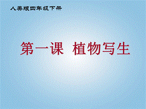 人美版四年級下冊美術(shù)第1課植物寫生課件.ppt