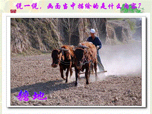 人美版四年級下冊美術(shù)第15課學(xué)畫農(nóng)民畫 課件(3).ppt