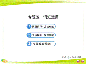 中考英語復習專題突破：專題五詞匯運用.ppt