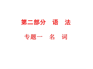 2024中考英語專題知識課件：專題一　名　詞.ppt
