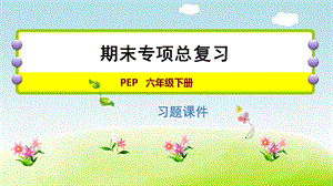 人教版六年級下冊英語情景交際專項 課件.ppt