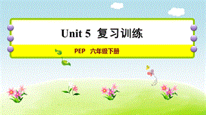 人教版三年級下冊英語Unit 5復習訓練.ppt