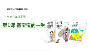 湘教版三年級下心理健康教育1蠶寶寶的一生課件.pptx