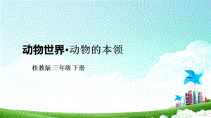 桂科版三下綜合實踐活動第8課動物世界動物的本領(lǐng)課件.pptx