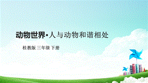 桂科版三下綜合實踐活動第9課人與動物和諧相處課件.pptx