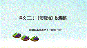 部編版小學(xué)語(yǔ)文二年級(jí)上冊(cè)《葡萄溝》說(shuō)課課件.pptx