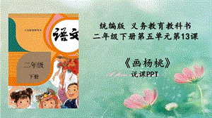 部編版小學語文二年級下冊畫楊桃說課課件.pptx